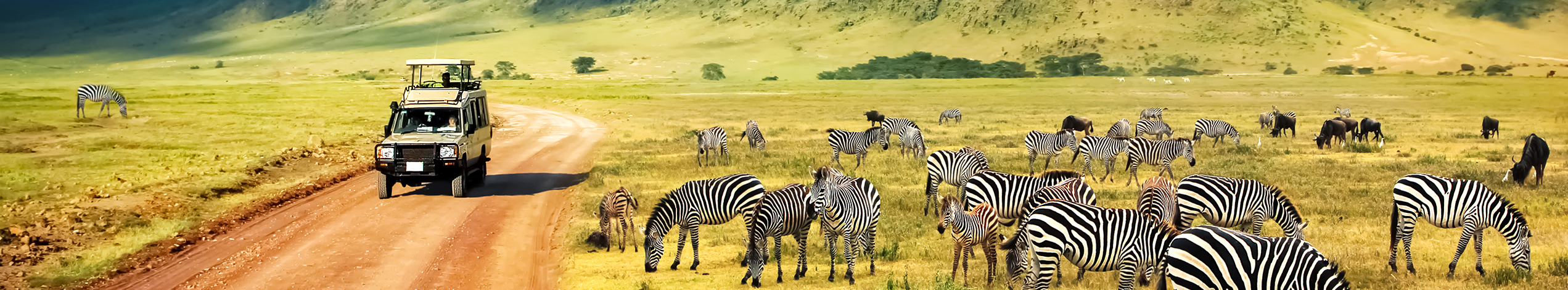 Ngorongoro Safari