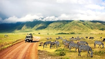 Ngorongoro Safari