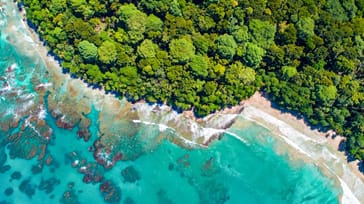 Tortuguero og den caribiske kyst