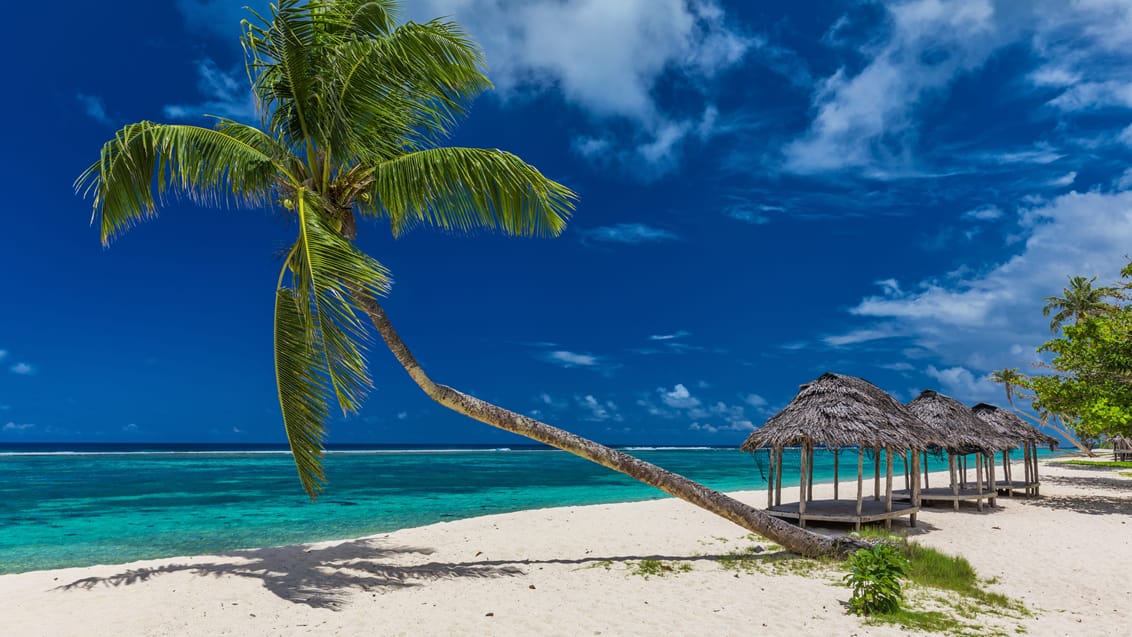 Tag med Jysk Rejsebureau på ø-hop og eventyr på Samoa