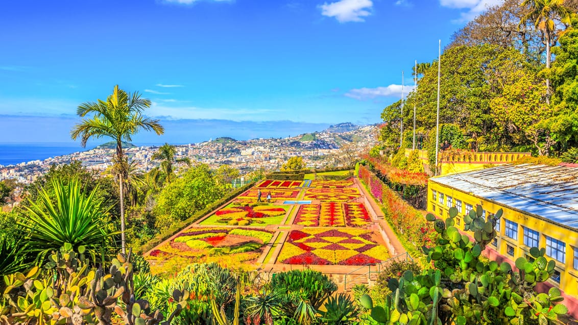 Botanisk have Funchal, Madeira