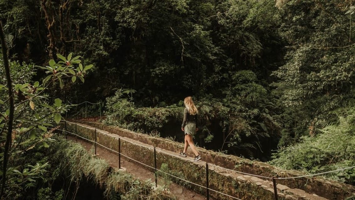 Levada 25 fontes, Madeira