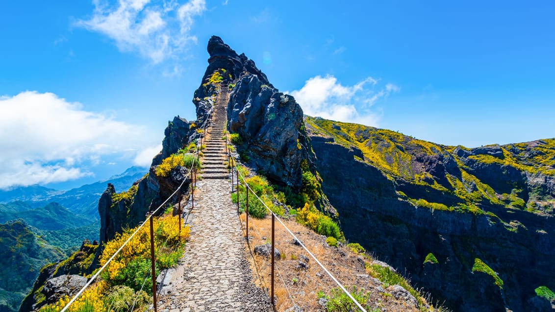 Pico Ariero, Madeira