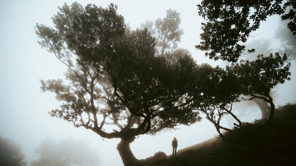 Silhouette, Madeira