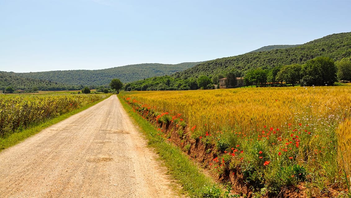 Sti til Monteriggioni, italien