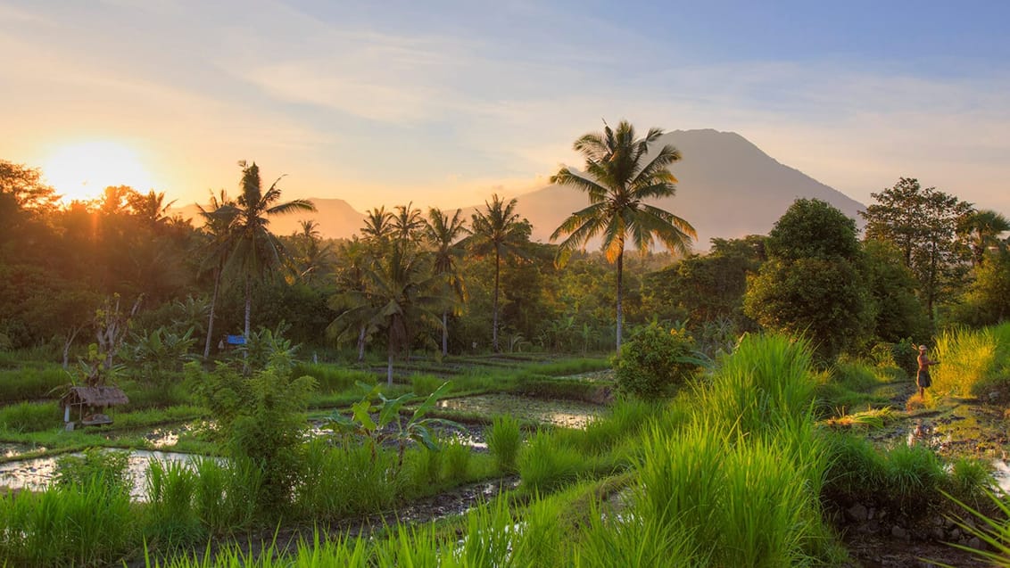 Bali solopgang, Indonesien