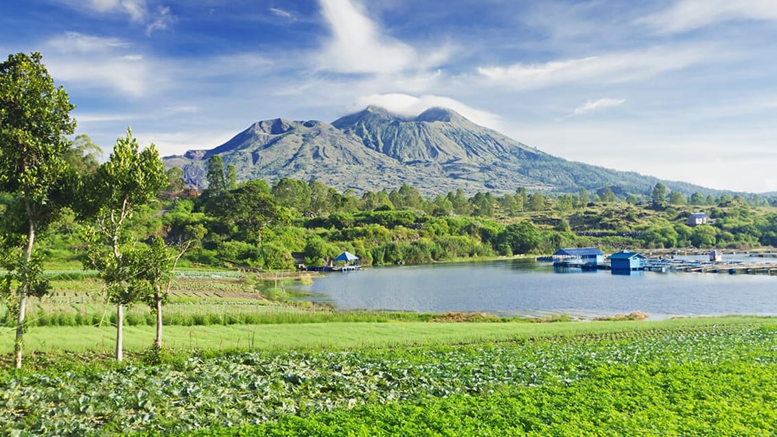 Batur vulkanen, Bali