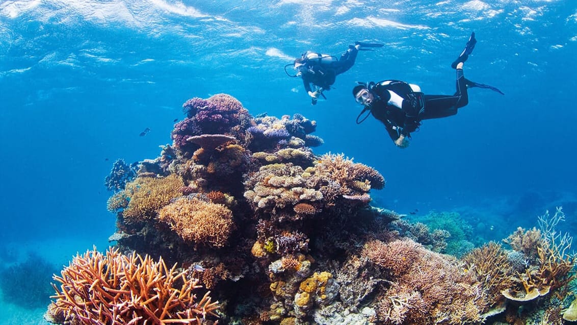 Dykning ved Great Barrier Reef