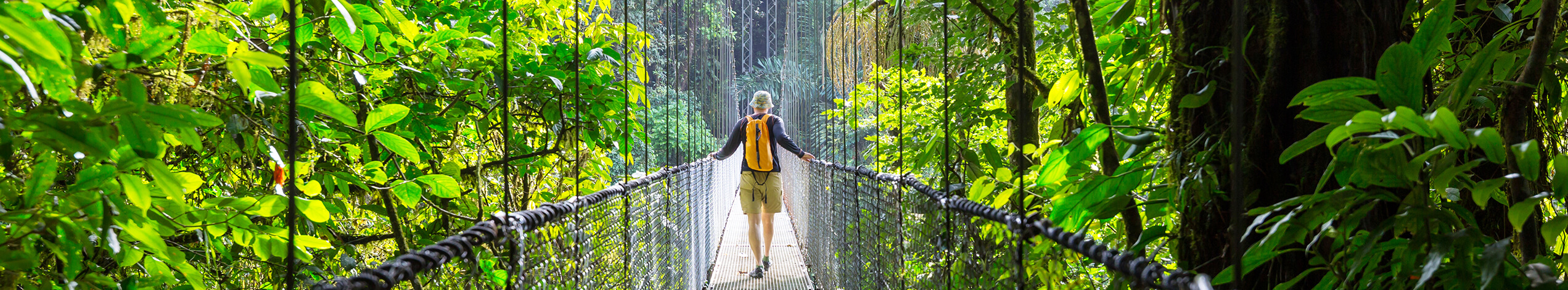 Hængebro, Costa Rica