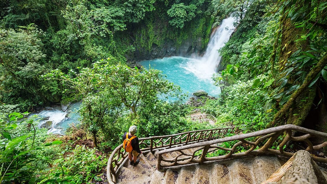 Køb frugt langs vejen i Costa Rica