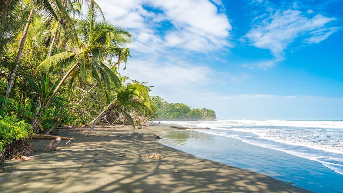 Stranden Playa Negra ved Cahuita i Costa Rica