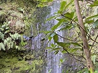 Vandring på Madeira