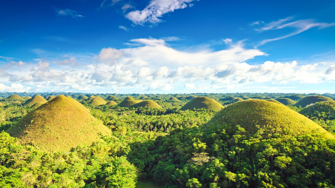 Chocolate Hills (eller Chokoladebakkerne) på Bohol