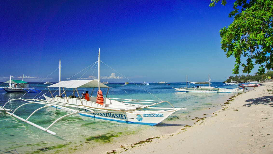 Båd langs stranden på Panglao