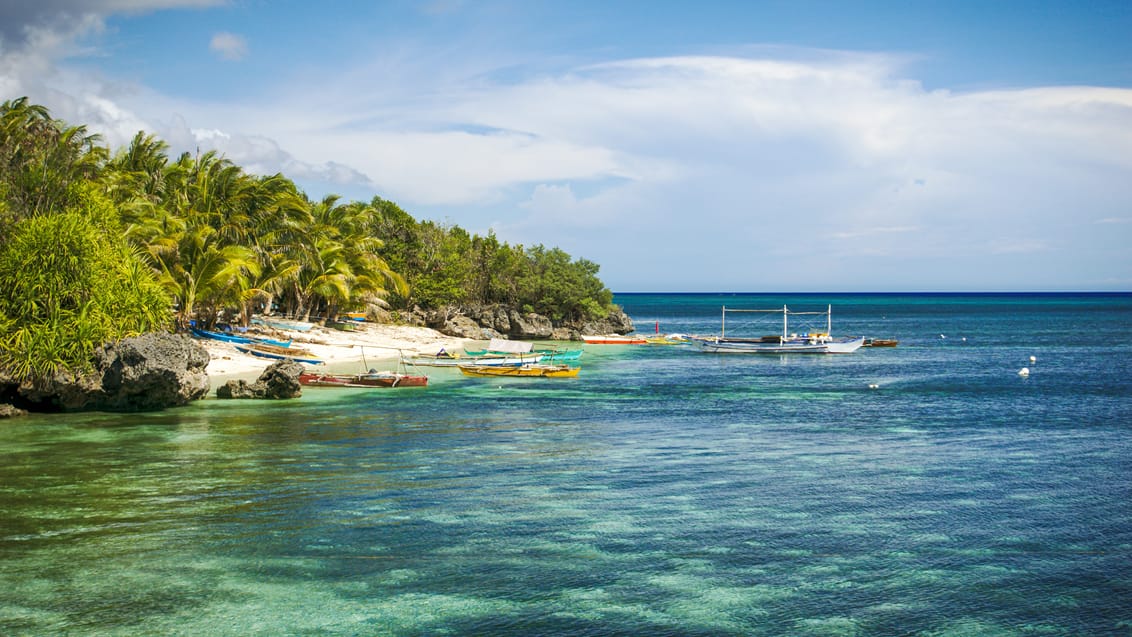 Strande og fiskerbåde på hyggelige Siquijor