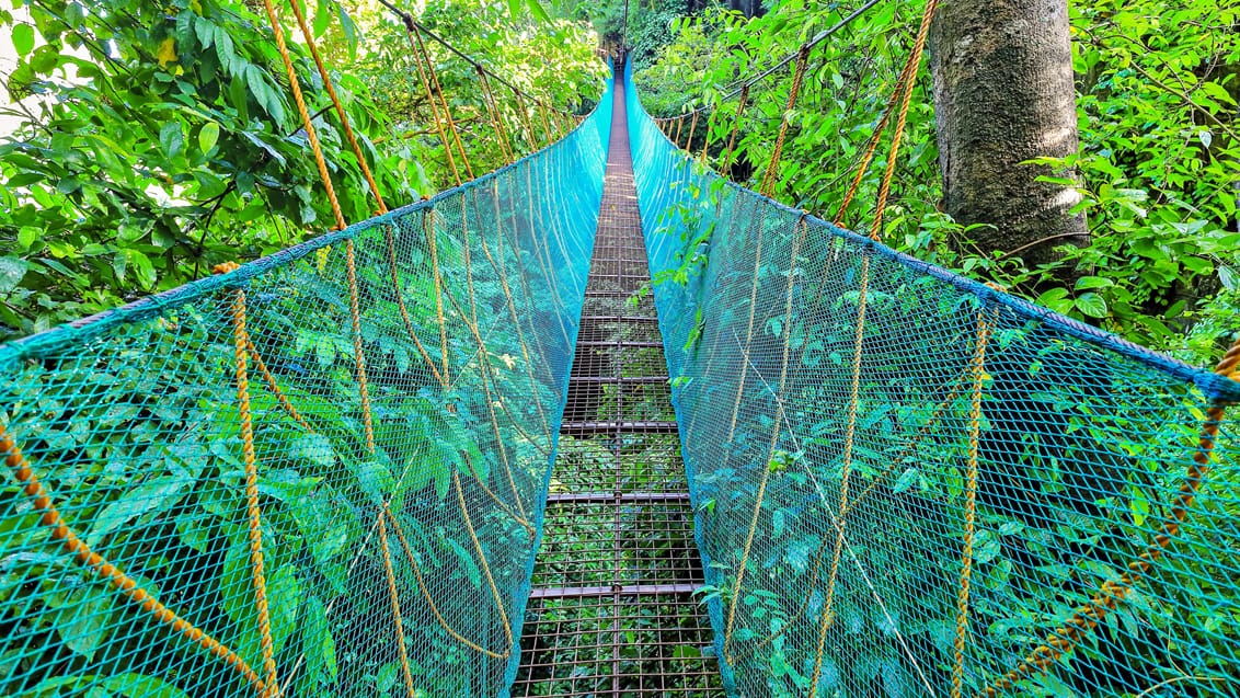 Canopy Walk ved El Nido