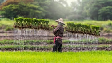 Det lokale Cambodja