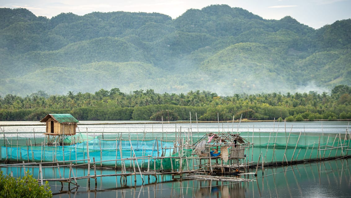 Fiskenet og skumringstid ved Anda på Bohol