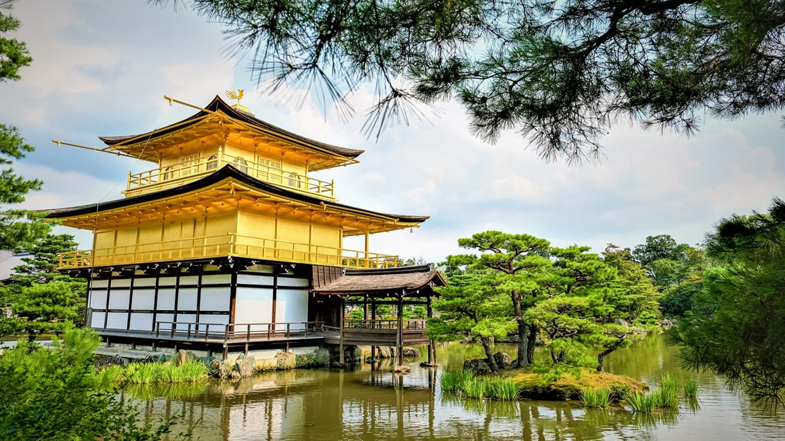 Kinkakuji Templet i Kyoto