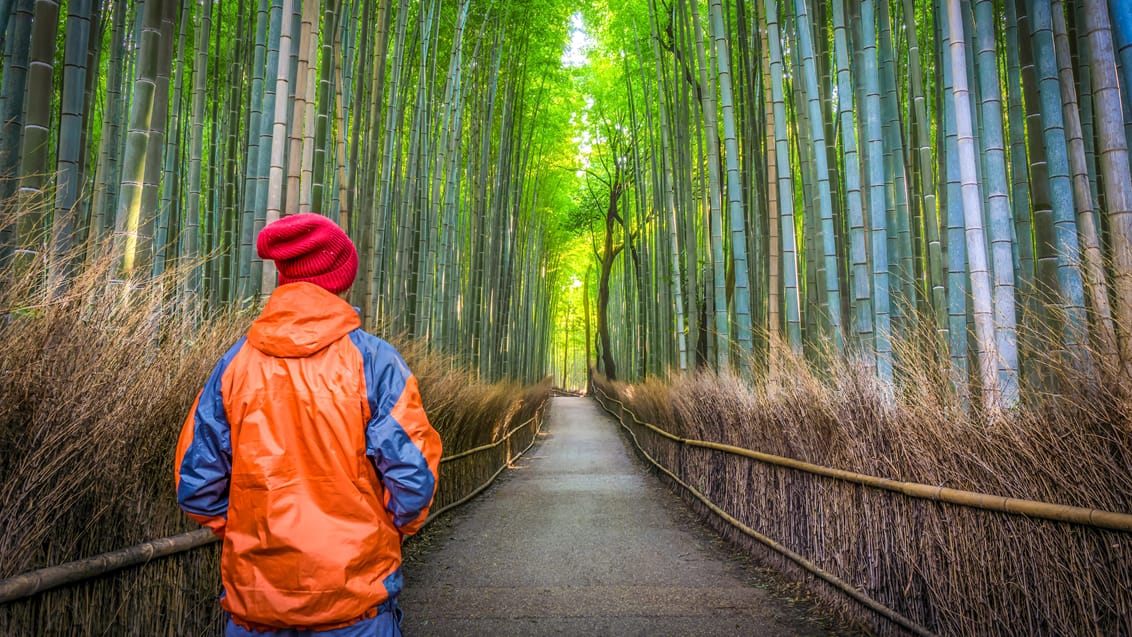 Bambusstien i Arashiyama i Kyoto