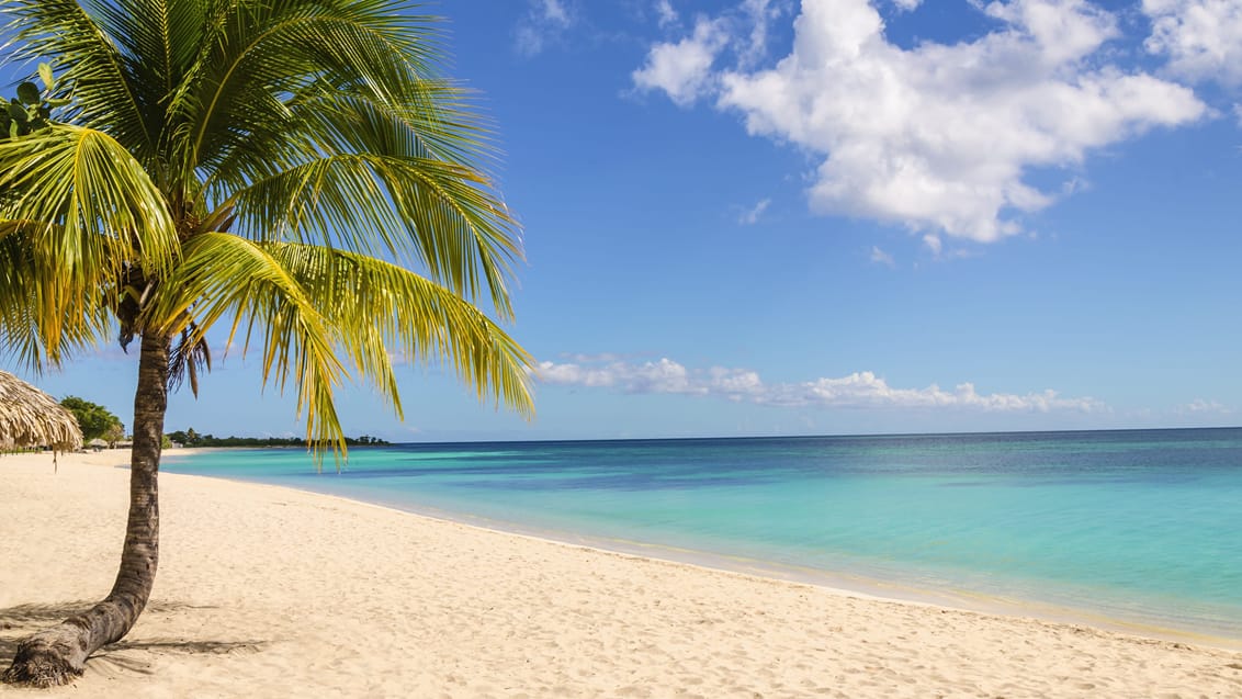 Lækker strand i Cuba