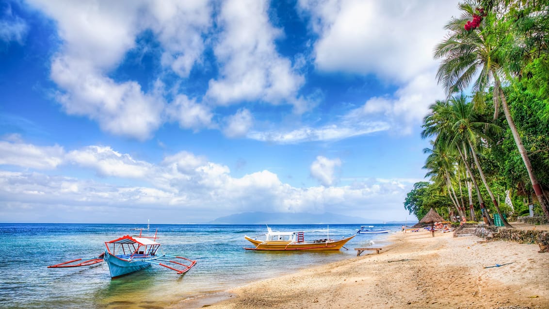 Strand ved Puerto Galera på Mindoro