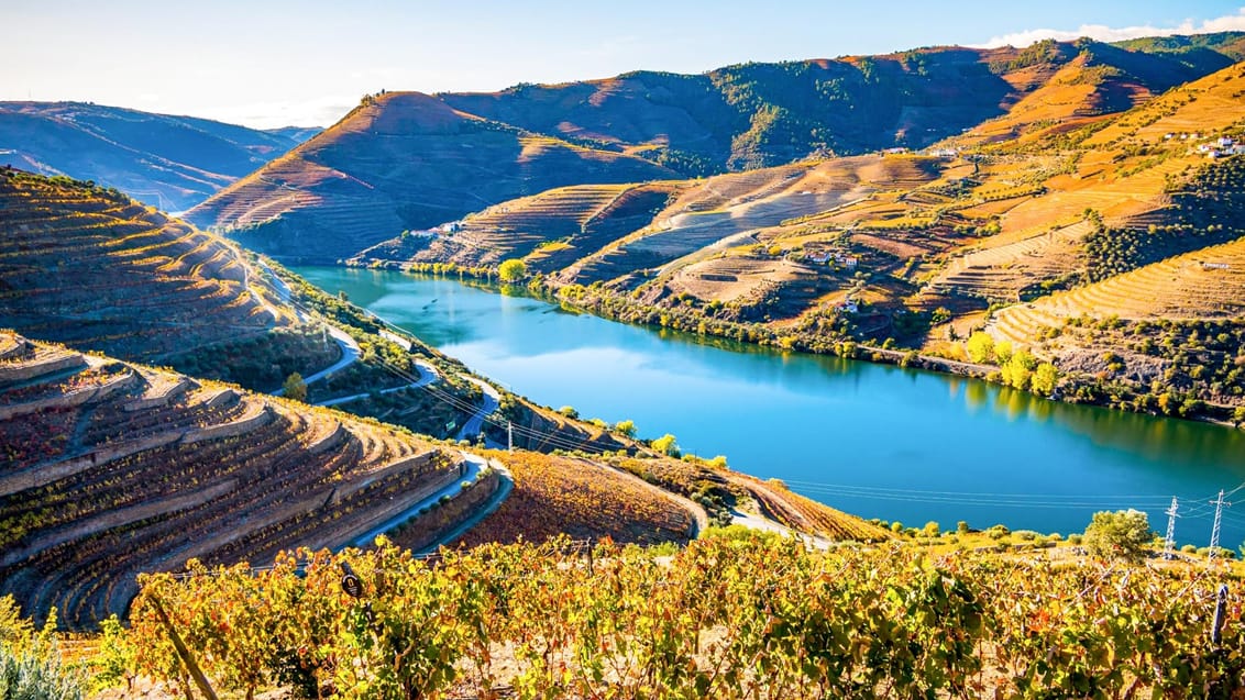 Douro valley i Portugal