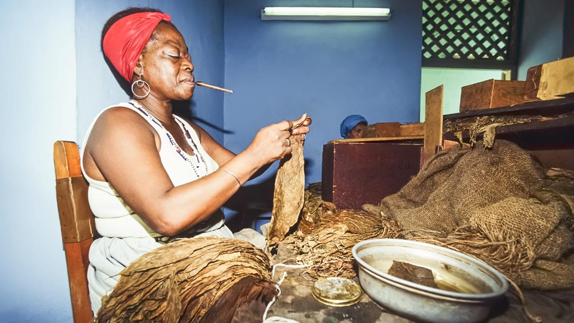 Kvinde ruller cigar i Havana Cuba