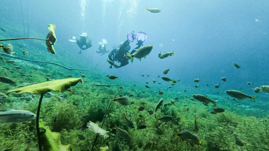 Mexico cenote dyk