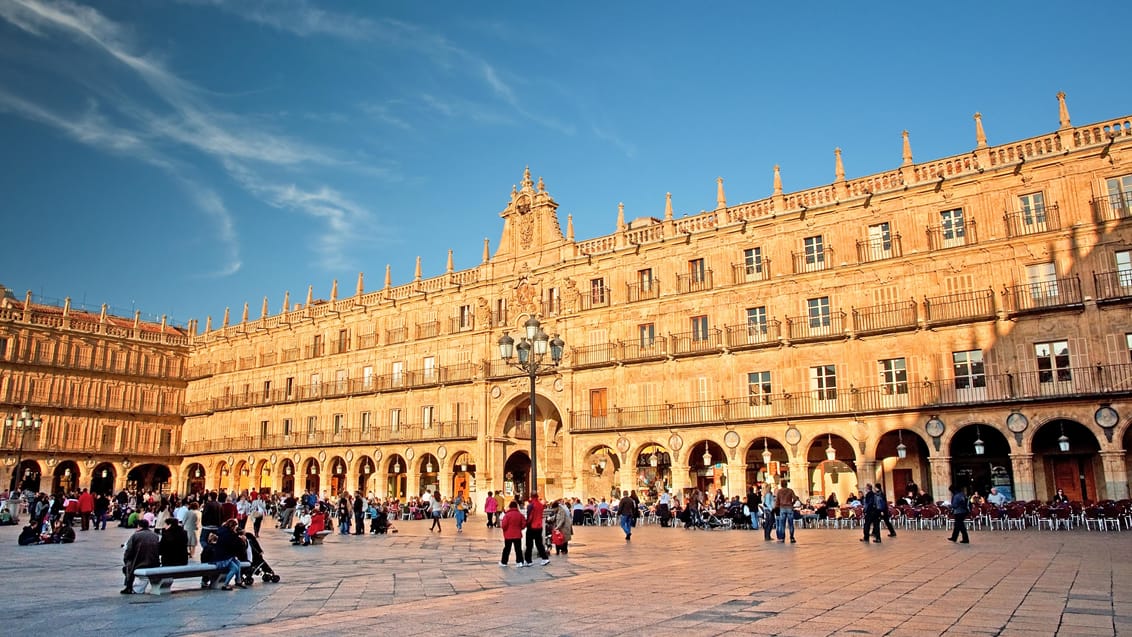 Plaza Mayor i Salamanca Spanien