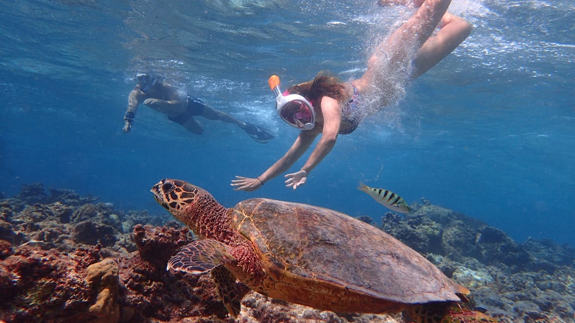 Snorkling, Maldiverne