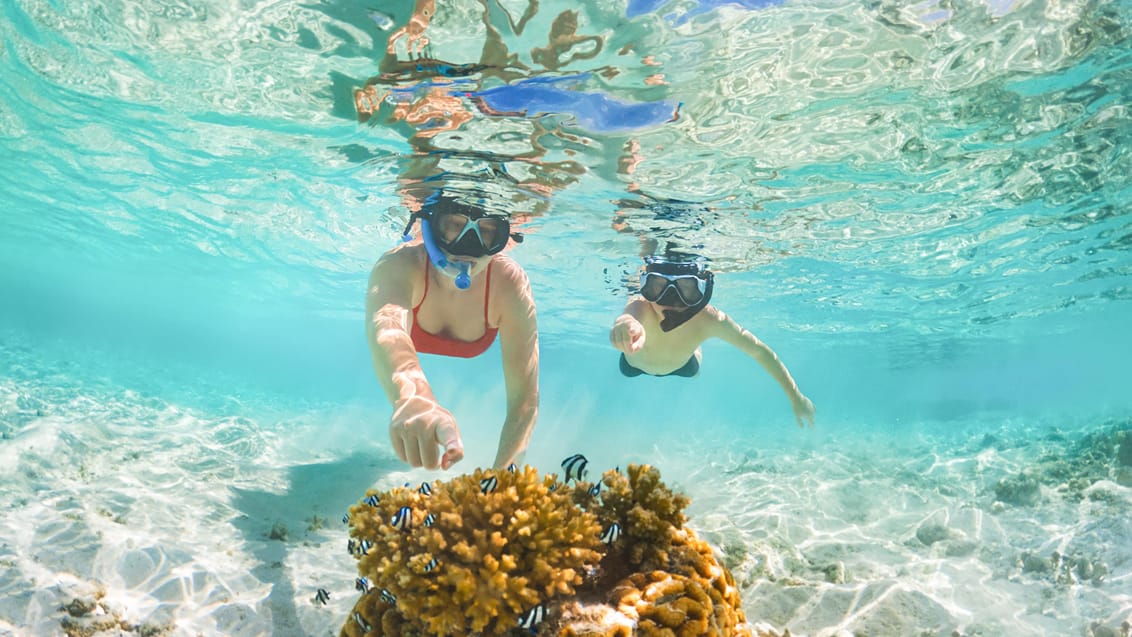 Snorkling i Cuba