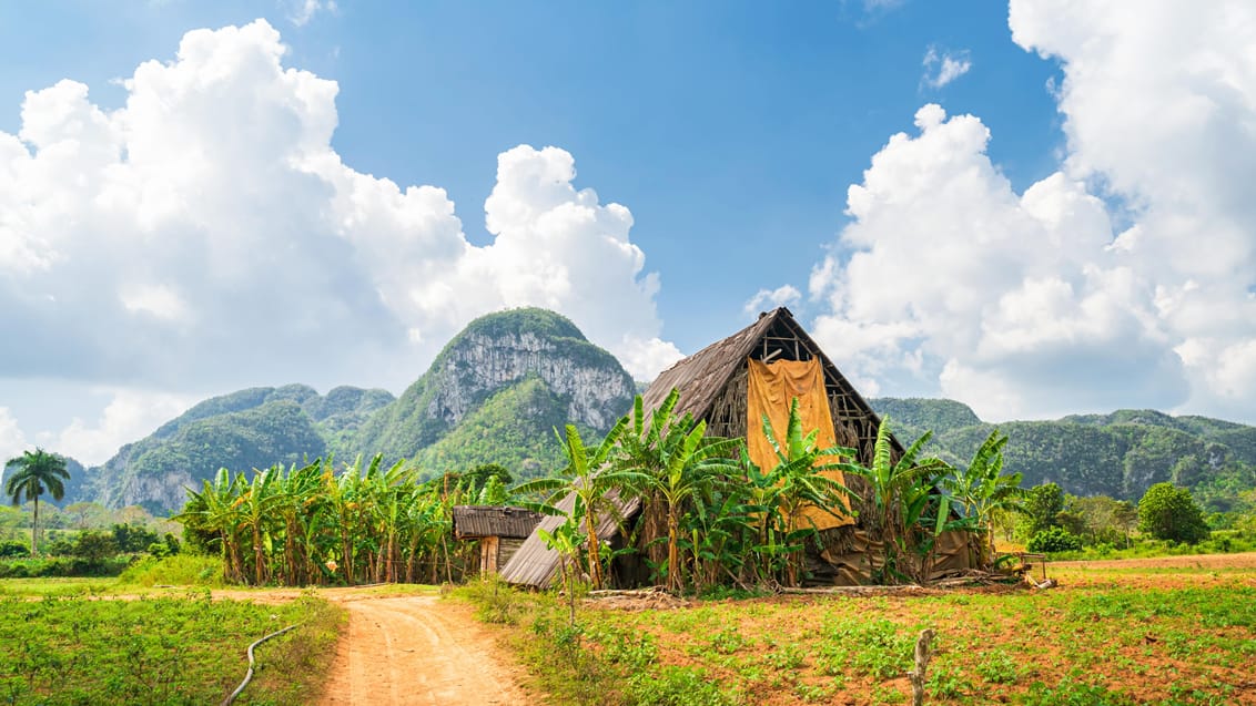 Vinales dalen i Cuba