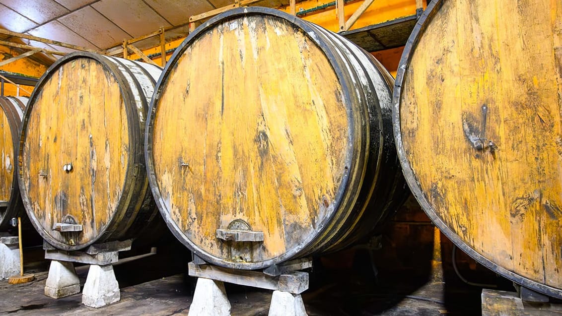 Cider tønder i Asturien Spanien