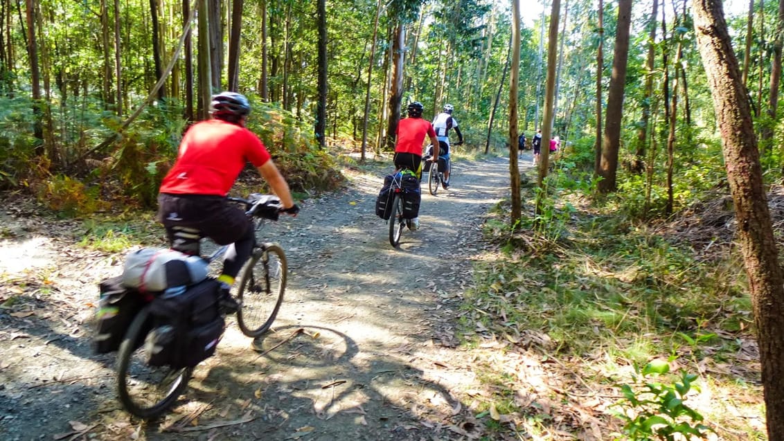 Cyklister i skoven Camino del Norte Spanien