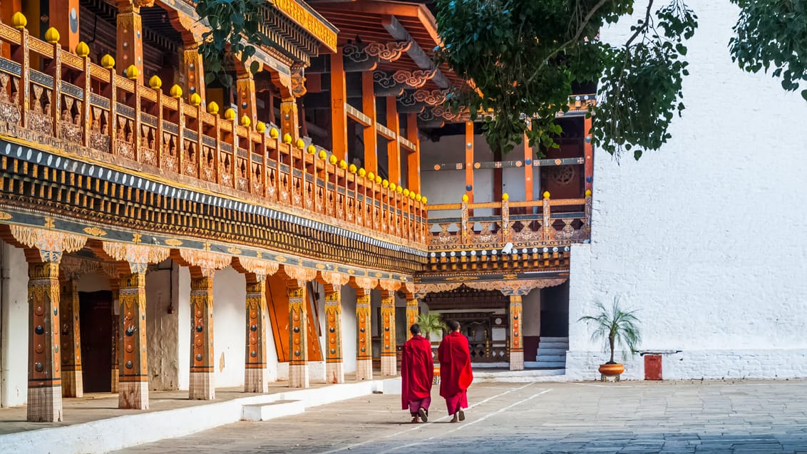 Munke ved Punakha Dzong i Bhutan