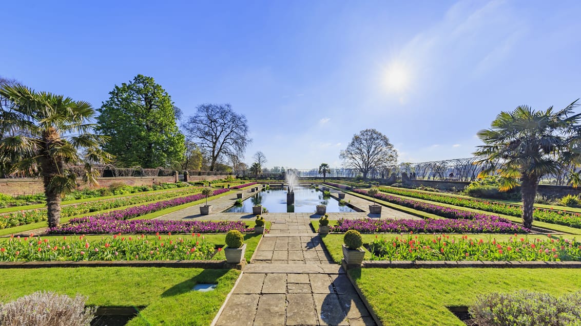 Nyd et grønt pusterum i Hyde Park i London, England