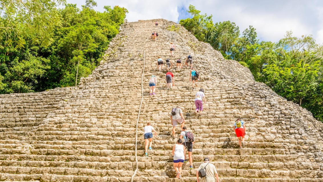 Mennesker kravler på Coba pyramide Mexico