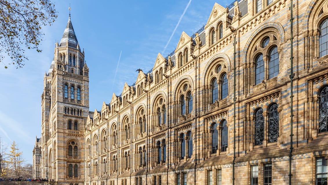 Besøg Natural History Museum og mange flere museer i Englands hovedstad London