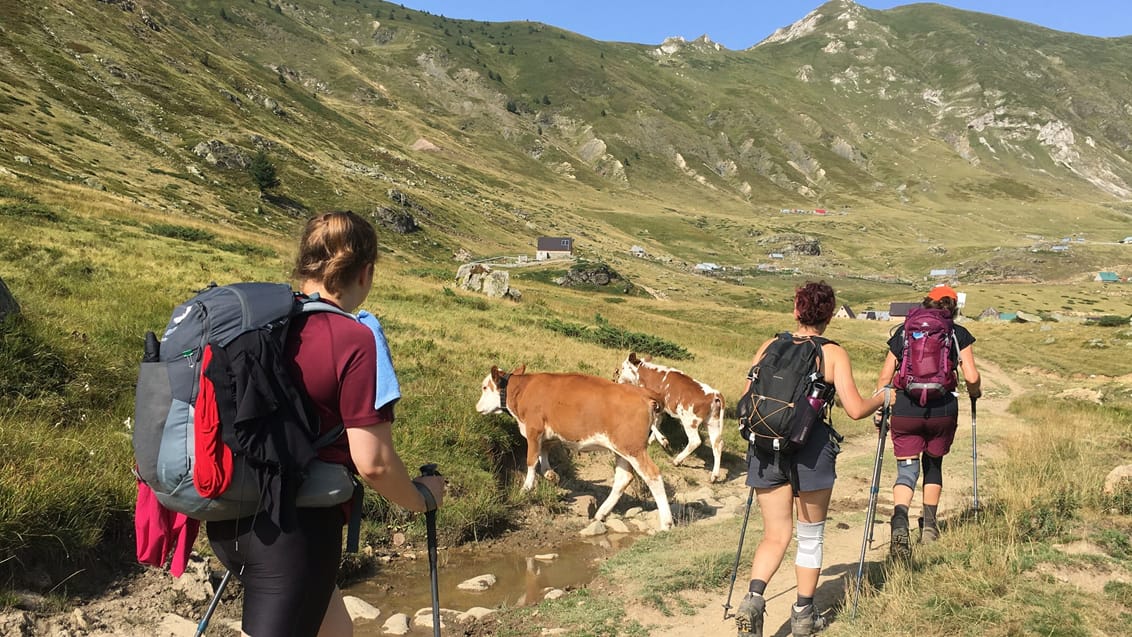 Peaks of Balkan mennesker der vandrer