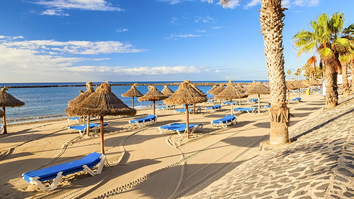 Strand i Los Cristianos på Tenerife Spanien