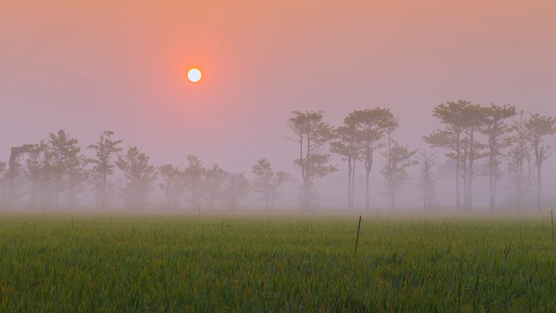 Trekking fra Laos til Vietnam