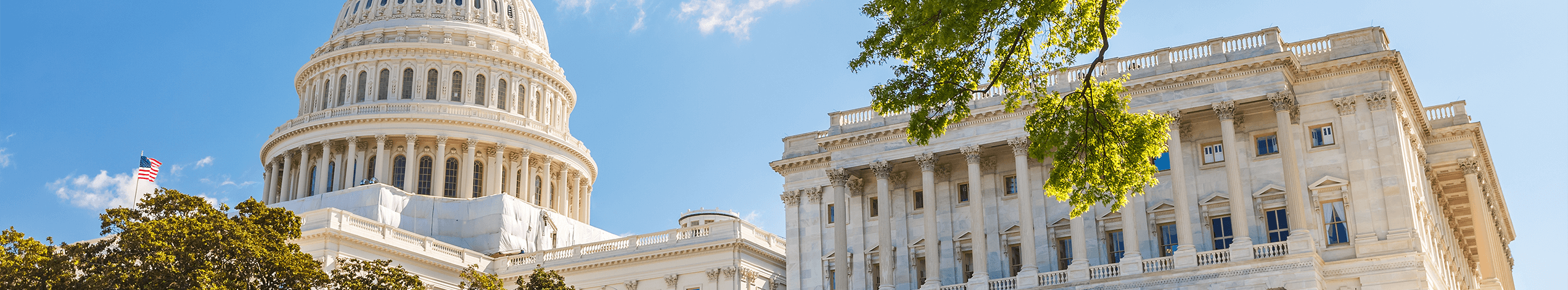 Oplev USA's politiske centrum på din rejse til Washington DC
