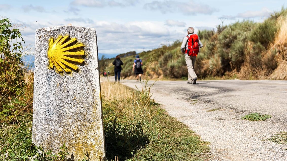 Camino Frances i Leon