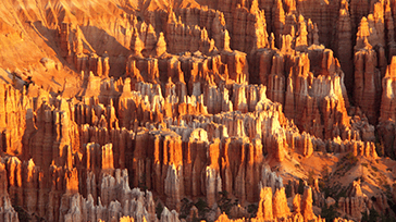 De bedsate nationalparker i USA