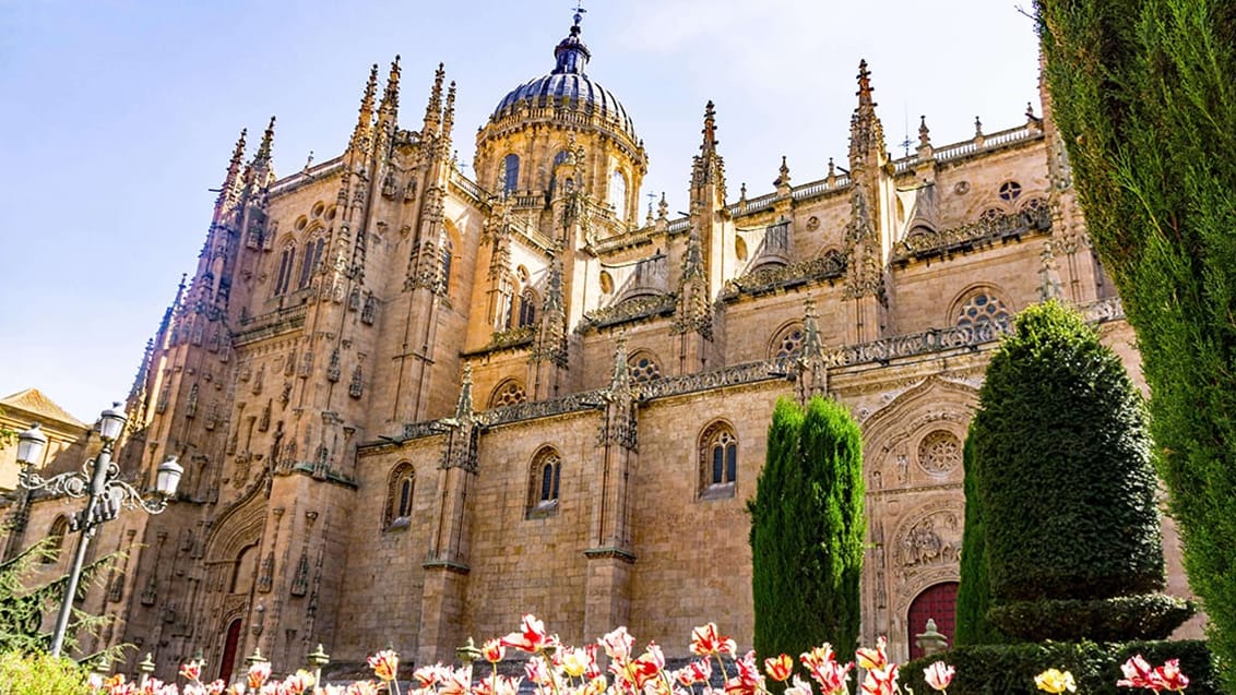 Katedralen i Salamanca Spanien