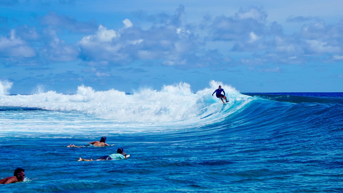 På Tahiti kan man se erfarne surfere manøvrere øens vilde bølger