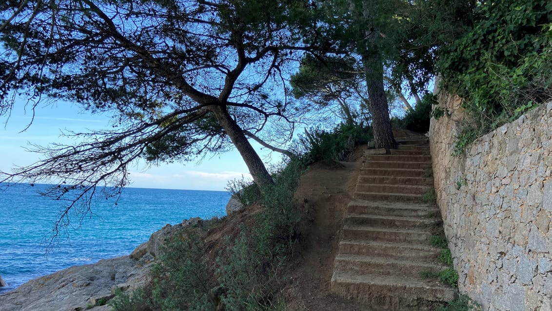 Cami de Ronda, sti