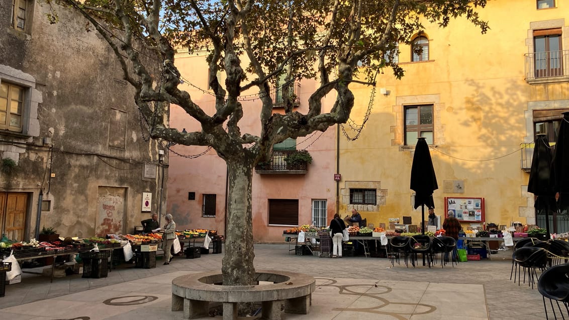 Cami de Ronda, Torroello de Montgri