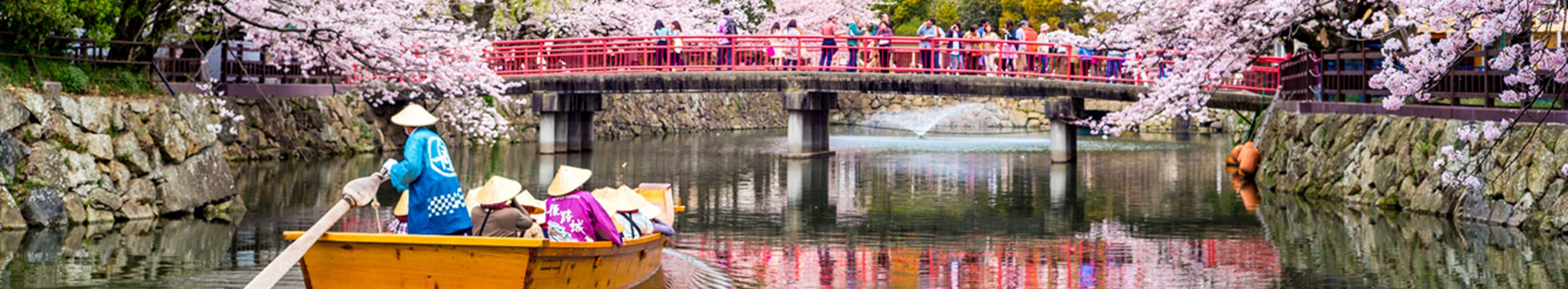 Sakura i Japan